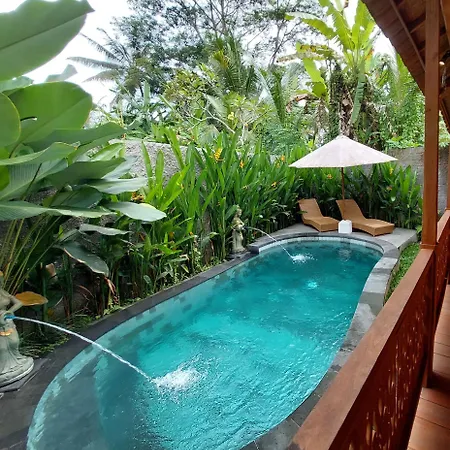 D'Ethnic Private Villa Ubud Extérieur photo